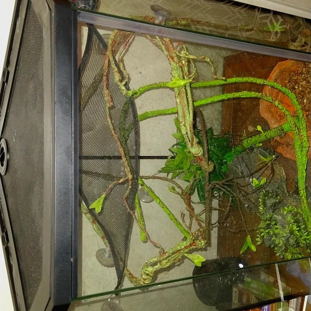 Reptile tank